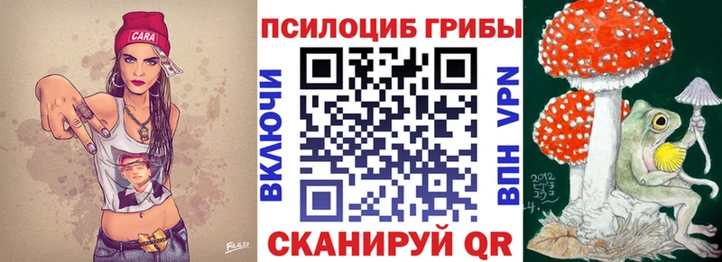 купить наркотик  Благовещенск  Псилоцибиновые грибы мицелий 